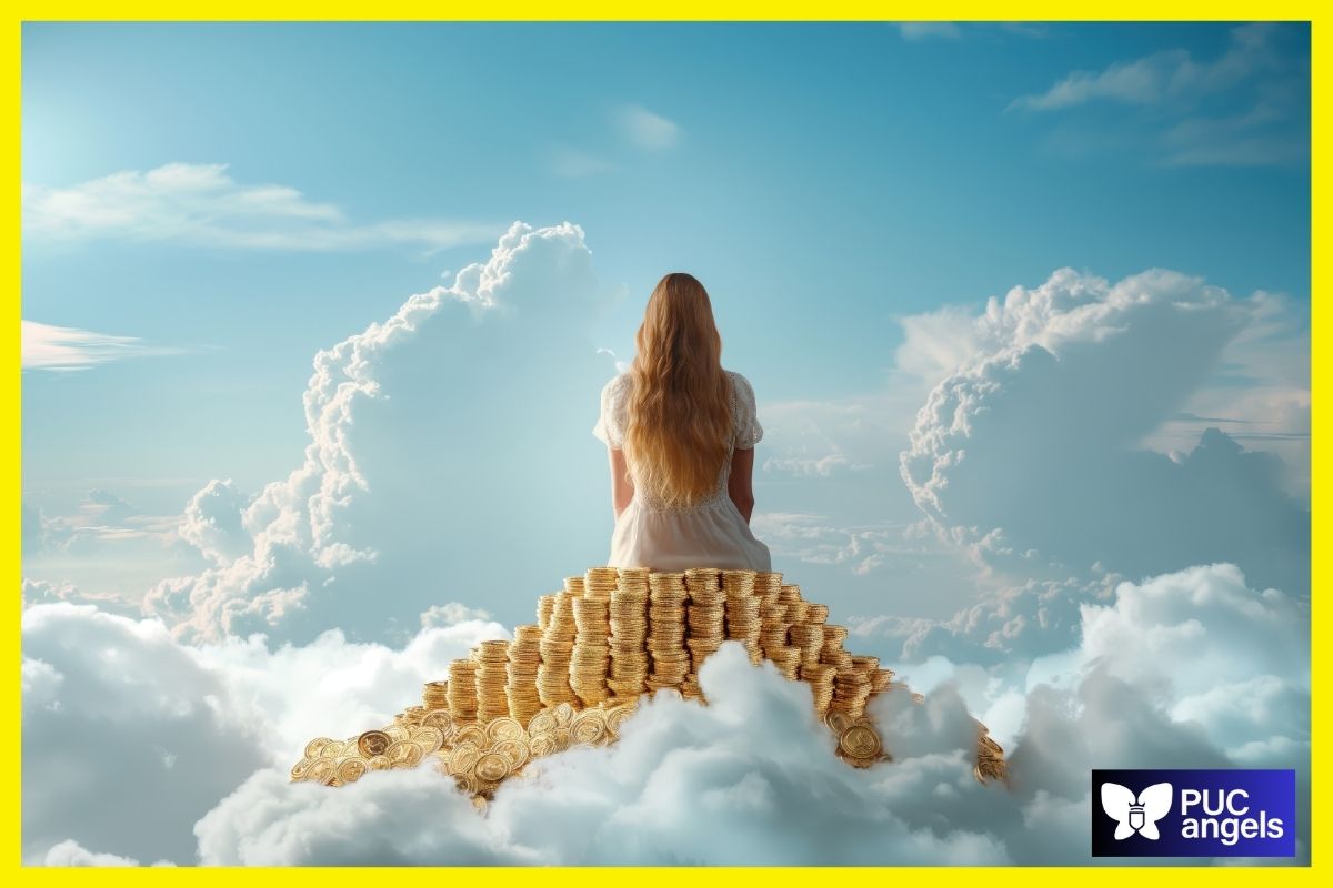 O que é um investidor-anjo